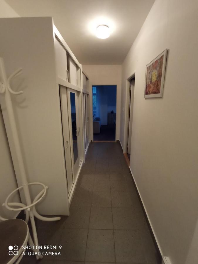 Apartman Violeta هاراشوف المظهر الخارجي الصورة